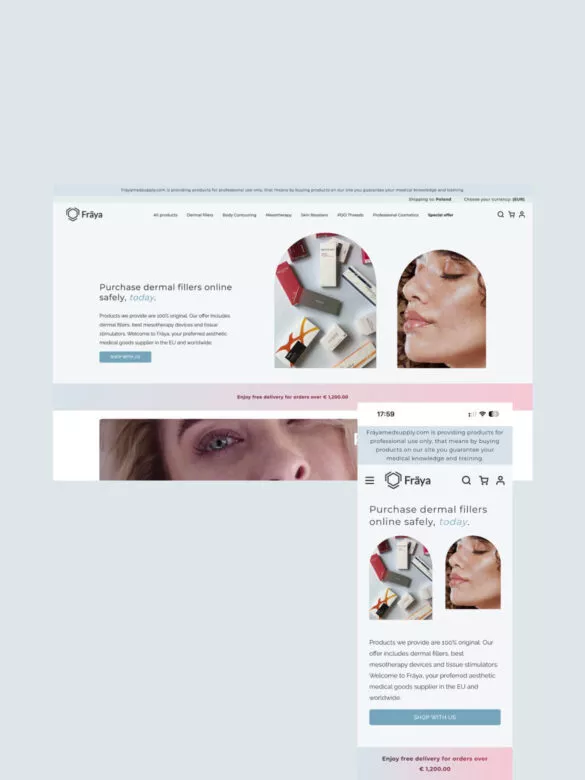 Case study Fräya - Grafika projektu